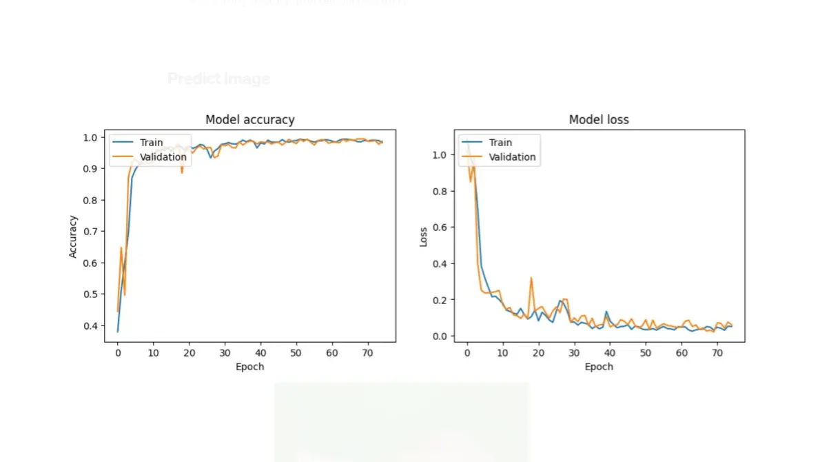 Rock-Paper-Scissors Classifier — image 2 of 2